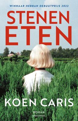 Stenen eten (Paperback)