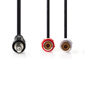 Nedis CAGT22250BK02 audio kabel 0,2 m 3.5mm 2 x RCA Zwart