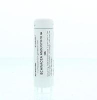 Homeoden Heel Echinacea angustifolia D6 6 Gram