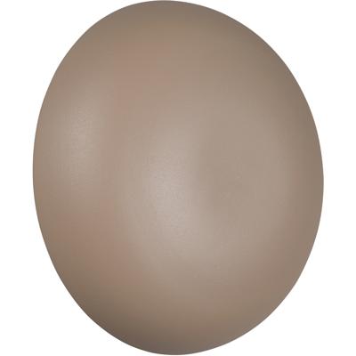 LED Wandlamp - Trion Phelix - 1 Lichtpunt van 1.5 Watt - Warm Wit 3000K - Aanraakschakelaar - Op Batterijen - IP20 - Beige - Metaal