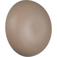 LED Wandlamp - Trion Phelix - 1 Lichtpunt van 1.5 Watt - Warm Wit 3000K - Aanraakschakelaar - Op Batterijen - IP20 - Beige - Metaal