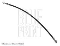 Blue Print Remslang ADN153139