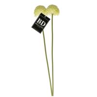 Allium/Sierui Globemaster kunstbloem - 2x - losse stelen - creme wit - 44 cm - Natuurlijk