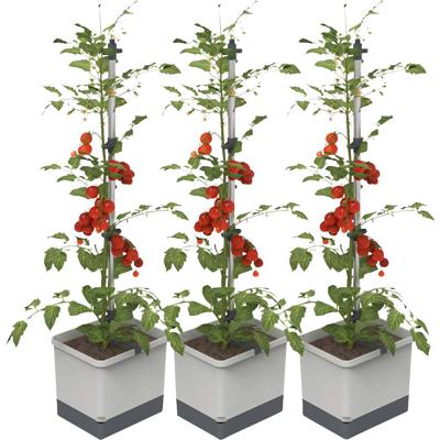 Gusta Garden TOM TOMATO 3er-Set, hellgrau / W07073 Plantcontainer