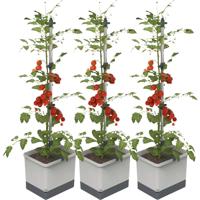 Gusta Garden TOM TOMATO 3er-Set, hellgrau / W07073 Plantcontainer Gusta Garden TOM TOMATO 3er-Set, hellgrau / W07073 Plantcontainer
