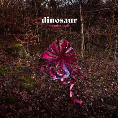 Wonder Trail - CD (5060509790371)