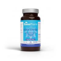 Sanopharm Detox support (60 caps) - thumbnail