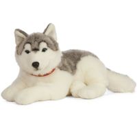 Grote pluche grijs/witte Husky hond knuffel 60 cm speelgoed   - - thumbnail