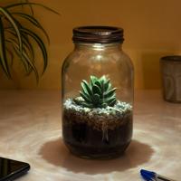 Lichtgevend terrarium Lichtgevend terrarium