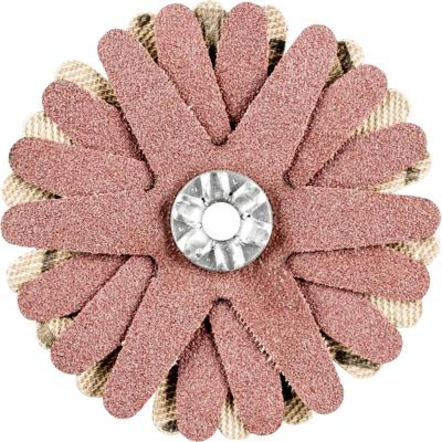 PFERD TOOLS 42732068 Schuursterren Diameter 50 mm 10 stuk(s)