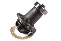 Waterpomp P15536