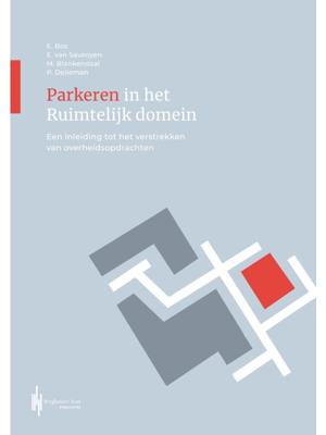 Parkeren in het ruimtelijk domein (Paperback)