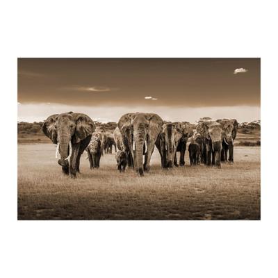 Glasschilderij - Olifanten - 120 x 80 cm Glasschilderij - Olifanten - 120 x 80 cm