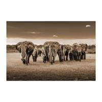 Glasschilderij - Olifanten - 120 x 80 cm