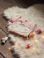 Ontwikkelingsboek + fluwelen knuffels ROZE LAND meerkleurig Ontwikkelingsboek + fluwelen knuffels ROZE LAND meerkleurig