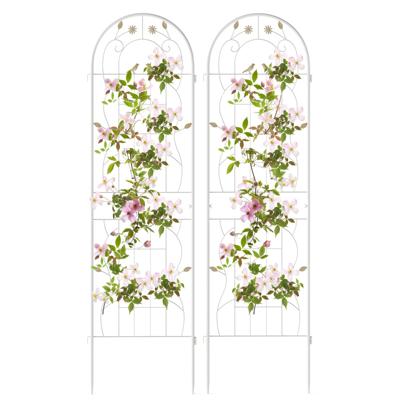 2-delige set Metalen Klimrekken Decoratieve Tuinhek Vrijstaande Klimhulp 180 cm x 50 cm Wit