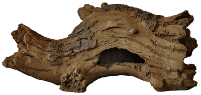 Superfish log hout s - Superfish