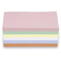 magnetoplan 112501510 Presentatiekaart Roze, Groen, Geel, Wit, Blauw, Oranje Rechthoekig 200 mm x 100 mm 250 stuk(s)