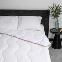 Dekbed Bamboe 200x200 Cm Anti Allergie & Verkoelend Fresh And Co - Dekbed-Discounter.nl