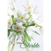 Wenskaarten Sterkte pak a 10 stuks