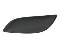 Ventilatiegrille, bumper 5510008155997PP