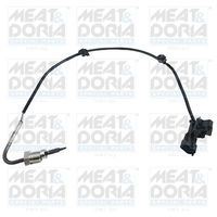 Sensor, uitlaatgastemperatuur 12089E