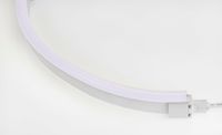 LED Neon Flex Flat Professional wit 24V 5700K 20M met aansluitkabel 110-141