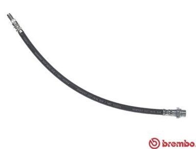 Remslang T06047