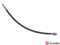 Remslang T06047