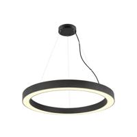 SLV MEDO® 1008595 Hanglamp LED 43 W Zwart