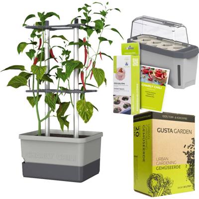 Gusta Garden Chili-Starter-Set 5-teilig hellgrau CHARLY CHILI / HARRY HERBS / Zubehör / W07082 Plantcontainer