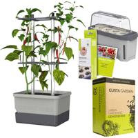 Gusta Garden Chili-Starter-Set 5-teilig hellgrau CHARLY CHILI / HARRY HERBS / Zubehör / W07082 Plantcontainer
