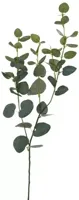 Pure Royal kunsttak eucalyptus 75cm groen