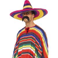 Carnaval verkleed set - Mexicaanse sombrero hoed met plaksnor - multi kleuren - heren