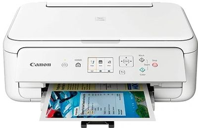 CanonPIXMA TS5151 All-in-one inkjet printer Wit