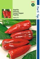 Paprika Atris Hybride F1 Rode Koehoorn - Hortitops Paprika Atris Hybride F1 Rode Koehoorn - Hortitops