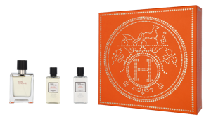 Hermès - Hermes Terre D&apos;Hermes Giftset 130 ml Eau de Toilette Heren