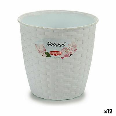 Stefanplast Wit Plastic 14 x 13 x 14 cm (12 Stuks)