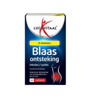 Blaasontsteking