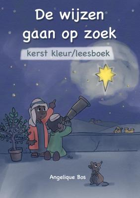De Wijzen gaan op zoek (Paperback)