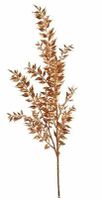 Ruscus metallic koper