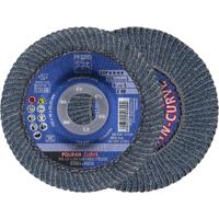 PFERD TOOLS 67689062 Z Sgp Curve Steelox Lamellenschijf Diameter 125 mm Boordiameter 22.23 mm 10 stuk(s)