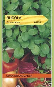 Rucola