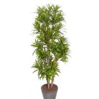 Kunstplant Groene Dracaena reflexa - H120 cm - voor binnen - nepplant - binnenplant