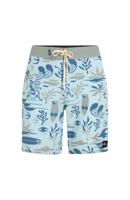 O'Neill O'Neill Heren Boardshort Lang Swimshort Mysto Scallop 20" Print Blauw