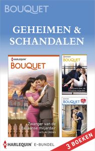 Geheimen & schandalen - Caitlin Crews - ebook