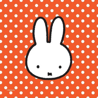 20x stuks Nijntje feest servetten - 25 x 25 cm - Verjaardag feestartikelen - voor kinderen