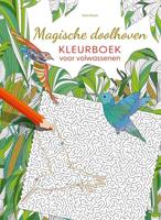 Deltas Magische doolhoven - kleurboek voor volwassenen