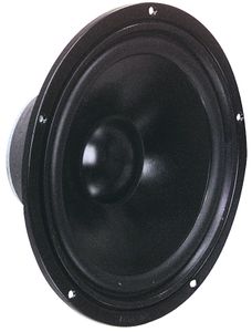 Visaton W 250 S - 8 Ohm 10 inch 25.4 cm Woofer 100 W 8 Ω