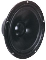 Visaton W 250 S - 8 Ohm 10 inch 25.4 cm Woofer 100 W 8 Ω - thumbnail